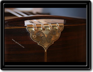Handmade mandolin tailpiece